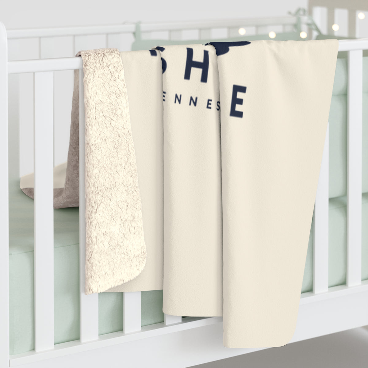 Nashville Parthenon Sherpa Blanket