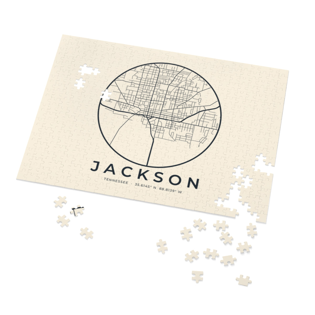 Jackson Street Map Puzzle